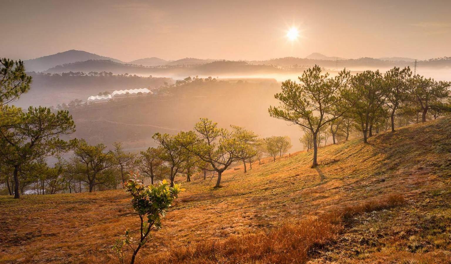 Anh Duc Hotel Da Lat City المظهر الخارجي الصورة